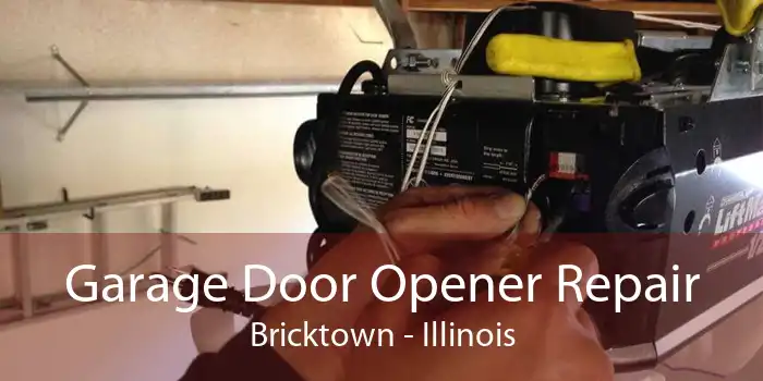 Garage Door Opener Repair Bricktown - Illinois