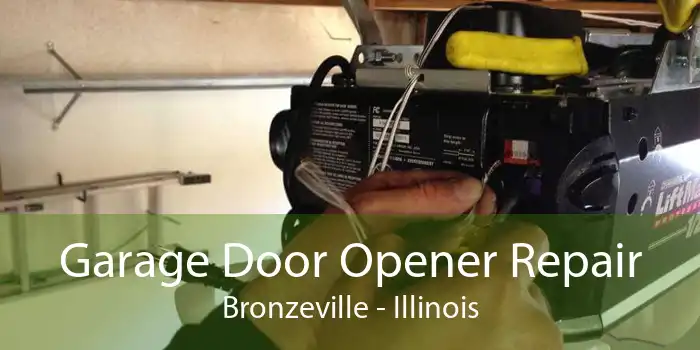 Garage Door Opener Repair Bronzeville - Illinois