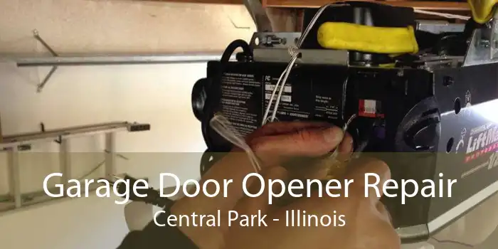 Garage Door Opener Repair Central Park - Illinois