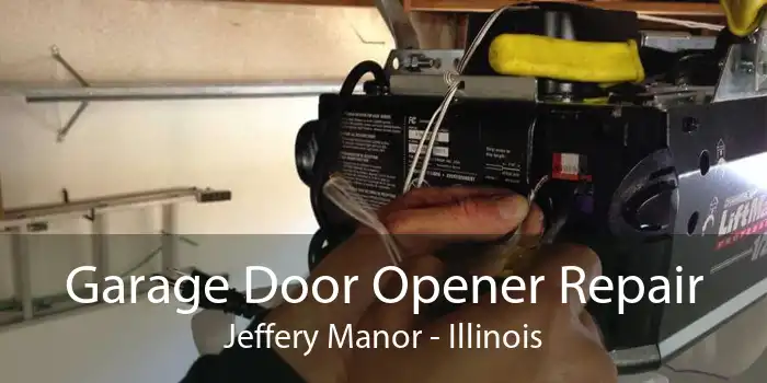 Garage Door Opener Repair Jeffery Manor - Illinois