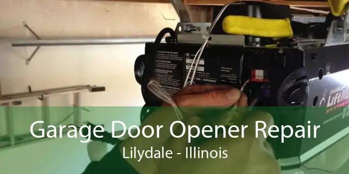 Garage Door Opener Repair Lilydale - Illinois