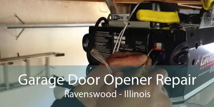 Garage Door Opener Repair Ravenswood - Illinois