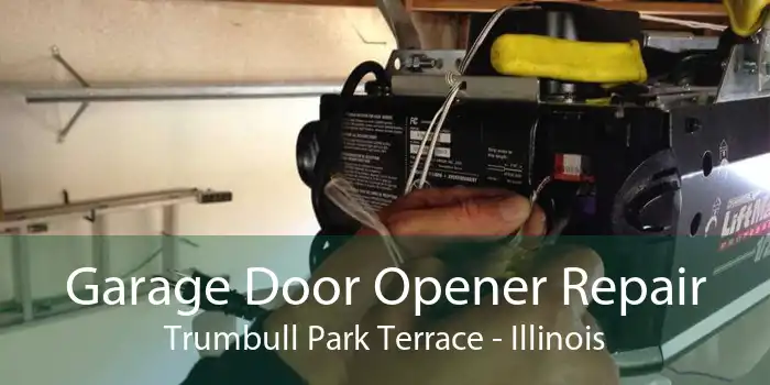 Garage Door Opener Repair Trumbull Park Terrace - Illinois