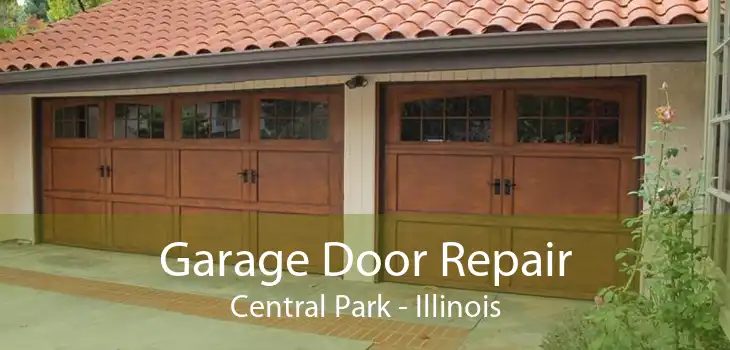 Garage Door Repair Central Park - Illinois