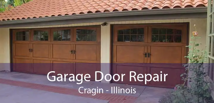 Garage Door Repair Cragin - Illinois