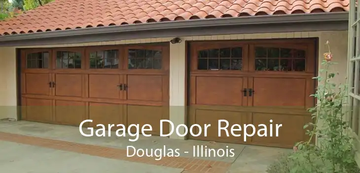 Garage Door Repair Douglas - Illinois