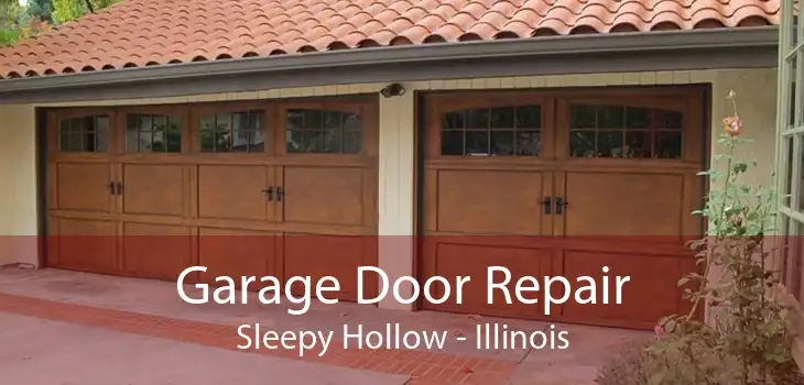 Garage Door Repair Sleepy Hollow - Illinois