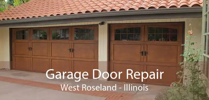 Garage Door Repair West Roseland - Illinois