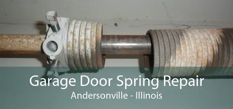 Garage Door Spring Repair Andersonville - Illinois