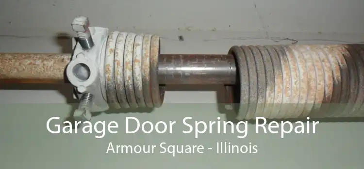 Garage Door Spring Repair Armour Square - Illinois