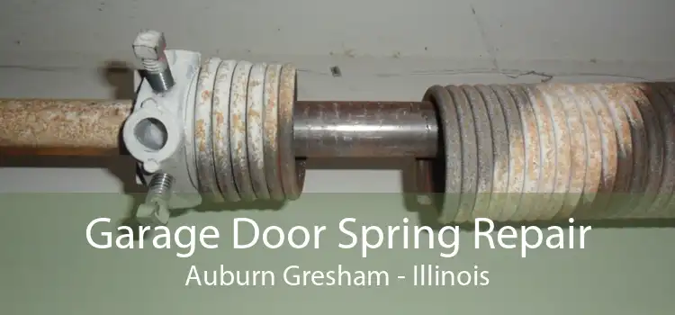 Garage Door Spring Repair Auburn Gresham - Illinois