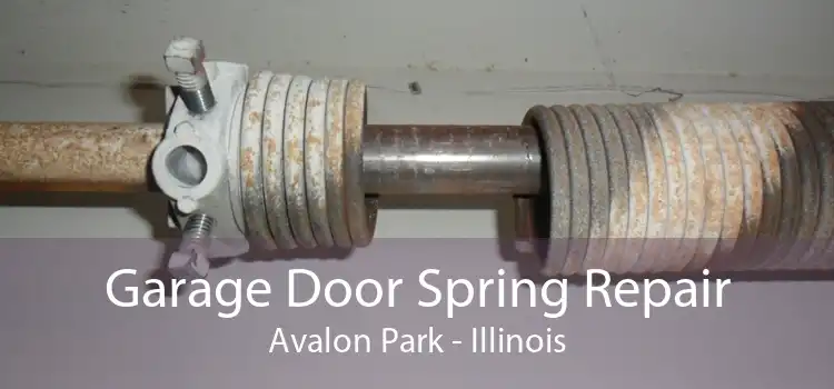 Garage Door Spring Repair Avalon Park - Illinois