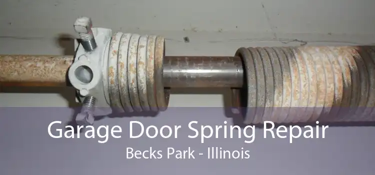 Garage Door Spring Repair Becks Park - Illinois