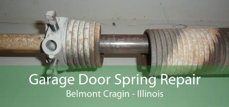 Garage Door Spring Repair Belmont Cragin - Illinois