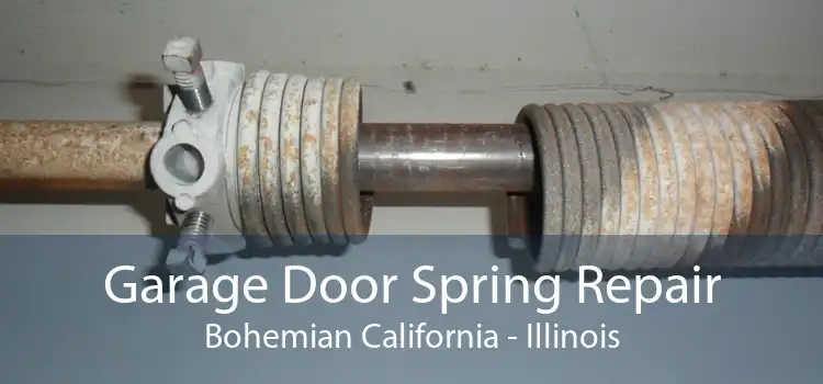 Garage Door Spring Repair Bohemian California - Illinois