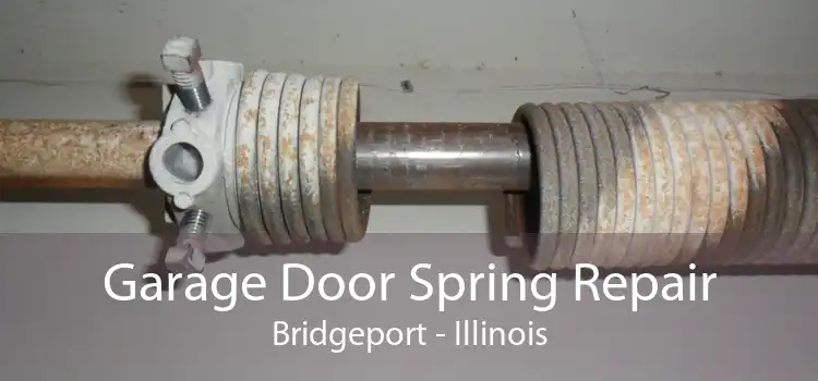 Garage Door Spring Repair Bridgeport - Illinois