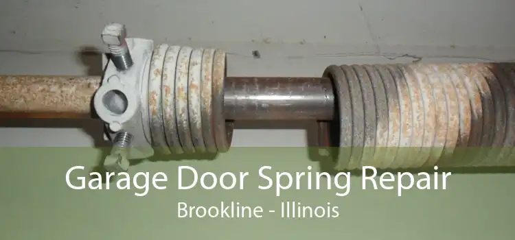 Garage Door Spring Repair Brookline - Illinois