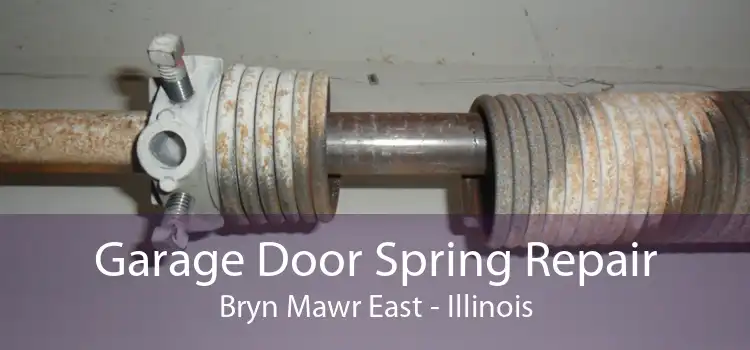 Garage Door Spring Repair Bryn Mawr East - Illinois