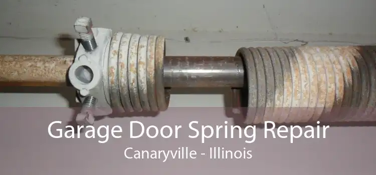 Garage Door Spring Repair Canaryville - Illinois