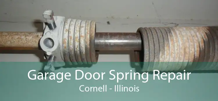 Garage Door Spring Repair Cornell - Illinois