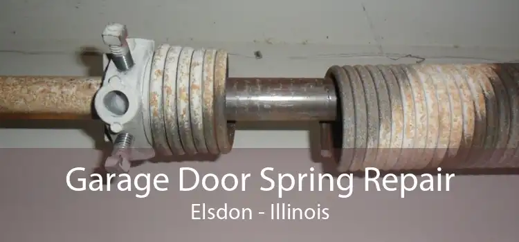 Garage Door Spring Repair Elsdon - Illinois