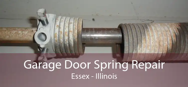 Garage Door Spring Repair Essex - Illinois