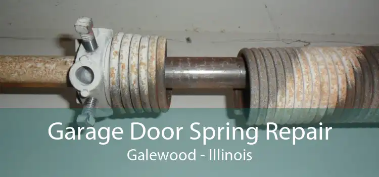 Garage Door Spring Repair Galewood - Illinois