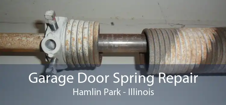 Garage Door Spring Repair Hamlin Park - Illinois