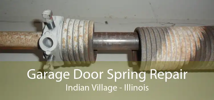 Garage Door Spring Repair Indian Village - Illinois