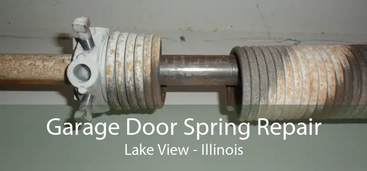 Garage Door Spring Repair Lake View - Illinois