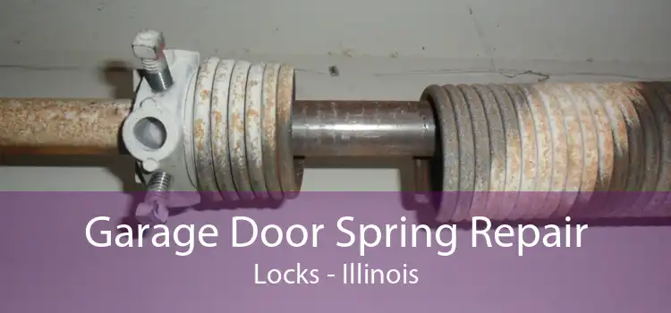 Garage Door Spring Repair Locks - Illinois