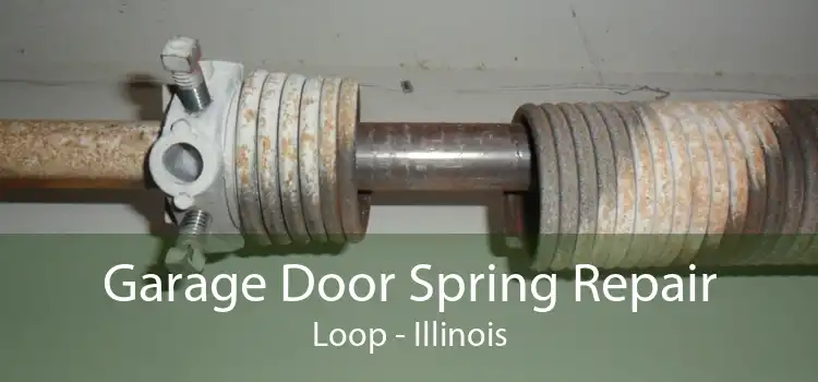 Garage Door Spring Repair Loop - Illinois