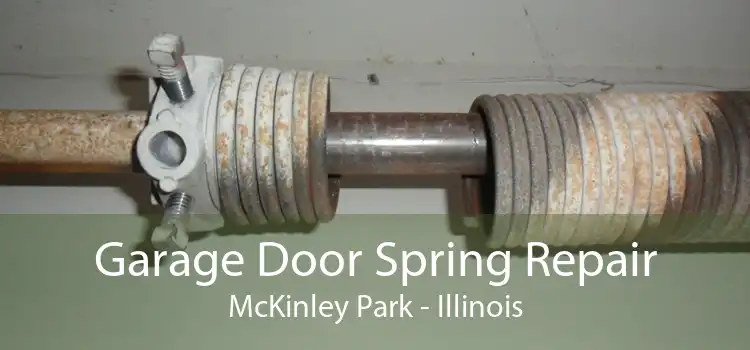 Garage Door Spring Repair McKinley Park - Illinois