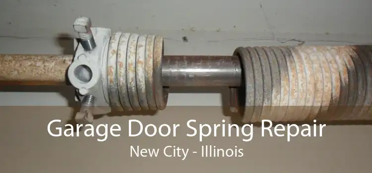 Garage Door Spring Repair New City - Illinois