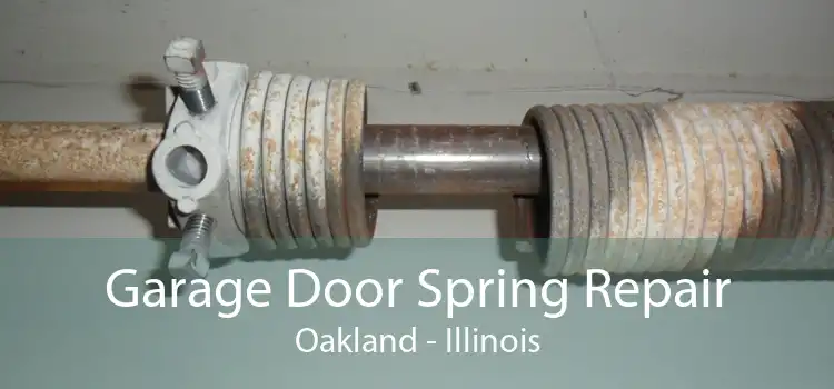 Garage Door Spring Repair Oakland - Illinois