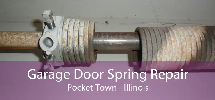 Garage Door Spring Repair Pocket Town - Illinois