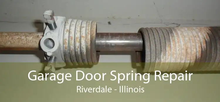 Garage Door Spring Repair Riverdale - Illinois