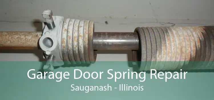 Garage Door Spring Repair Sauganash - Illinois