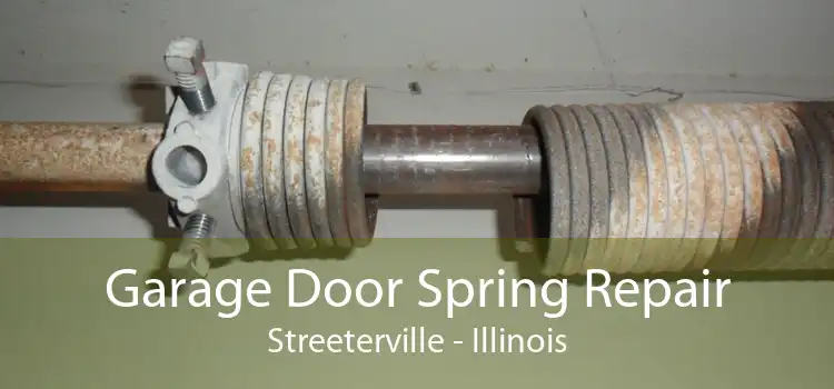 Garage Door Spring Repair Streeterville - Illinois