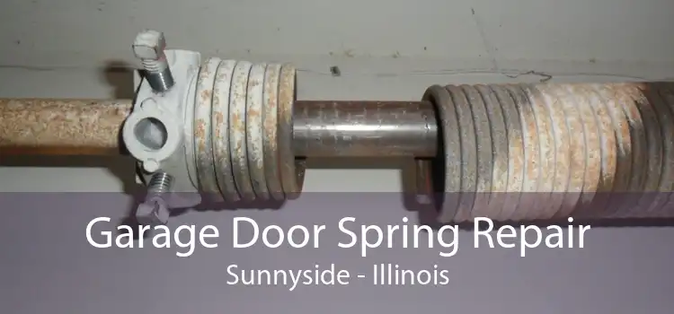 Garage Door Spring Repair Sunnyside - Illinois