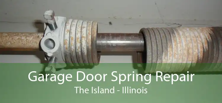 Garage Door Spring Repair The Island - Illinois