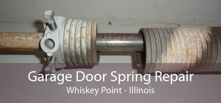 Garage Door Spring Repair Whiskey Point - Illinois