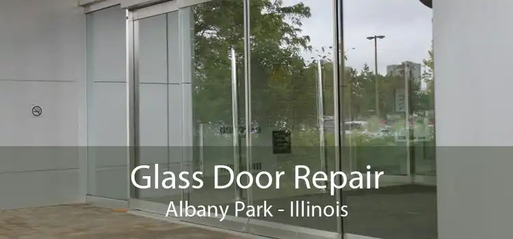 Glass Door Repair Albany Park - Illinois