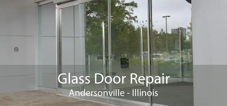 Glass Door Repair Andersonville - Illinois