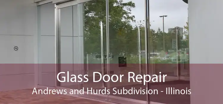 Glass Door Repair Andrews and Hurds Subdivision - Illinois