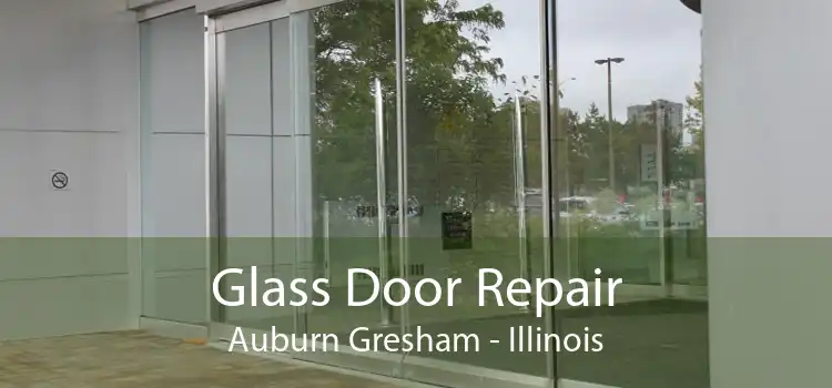 Glass Door Repair Auburn Gresham - Illinois