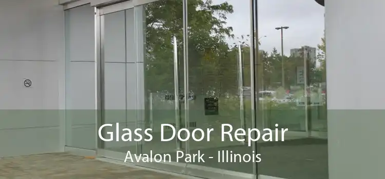 Glass Door Repair Avalon Park - Illinois