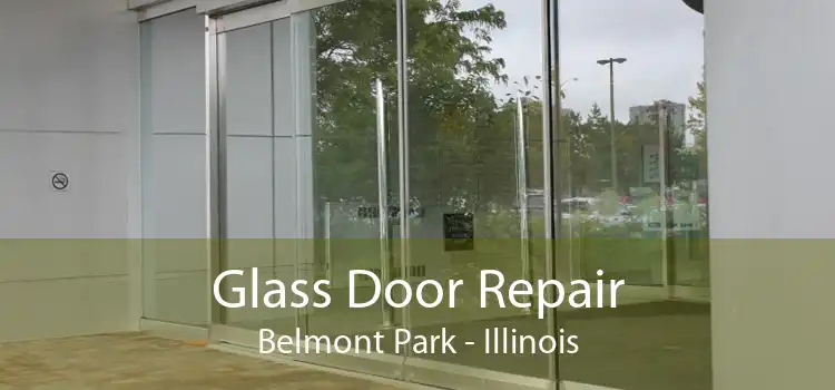 Glass Door Repair Belmont Park - Illinois