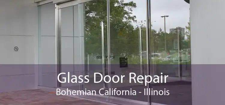 Glass Door Repair Bohemian California - Illinois