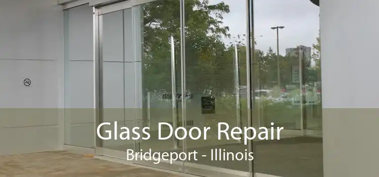 Glass Door Repair Bridgeport - Illinois